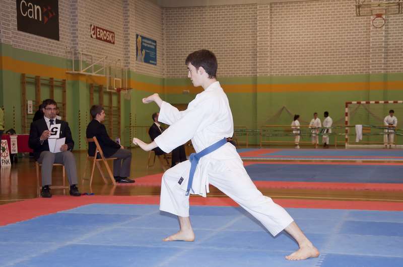Campeonatos Navarros de Kata Individual